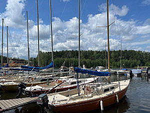 photo_p